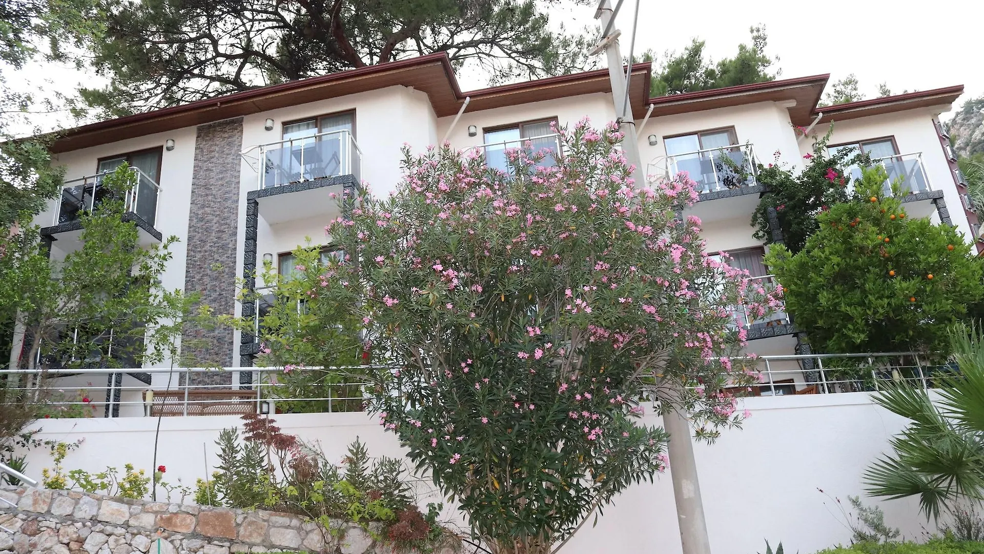 Eden Pyara Hotel Turunc